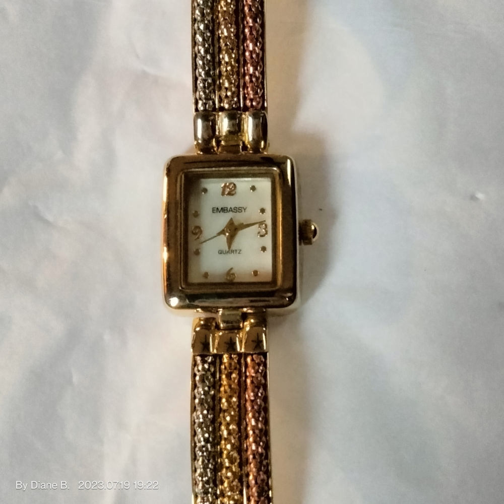 Embassy Tri-color Watch